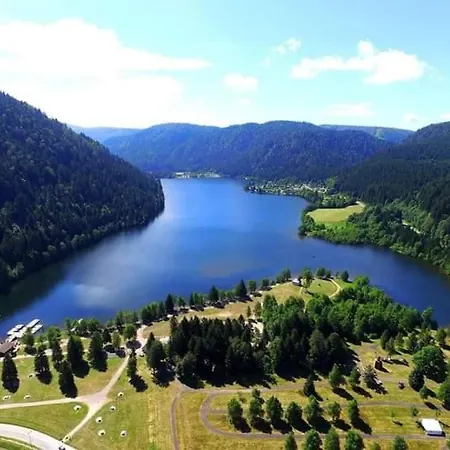 Apartment Proche Lac , Borne Video, Espace Exterieur Gerardmer