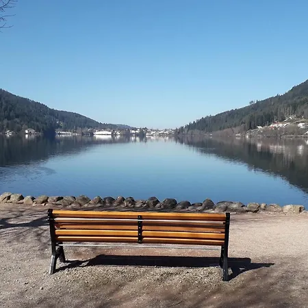 Proche , Borne Video, Espace Exterieur Appartement Gérardmer