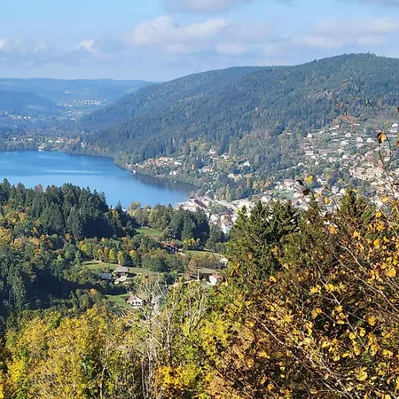 Proche Lac , Borne Video, Espace Exterieur Gerardmer