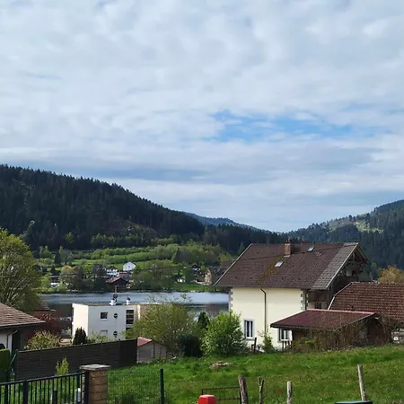 Apartment Proche Lac , Borne Video, Espace Exterieur Gerardmer